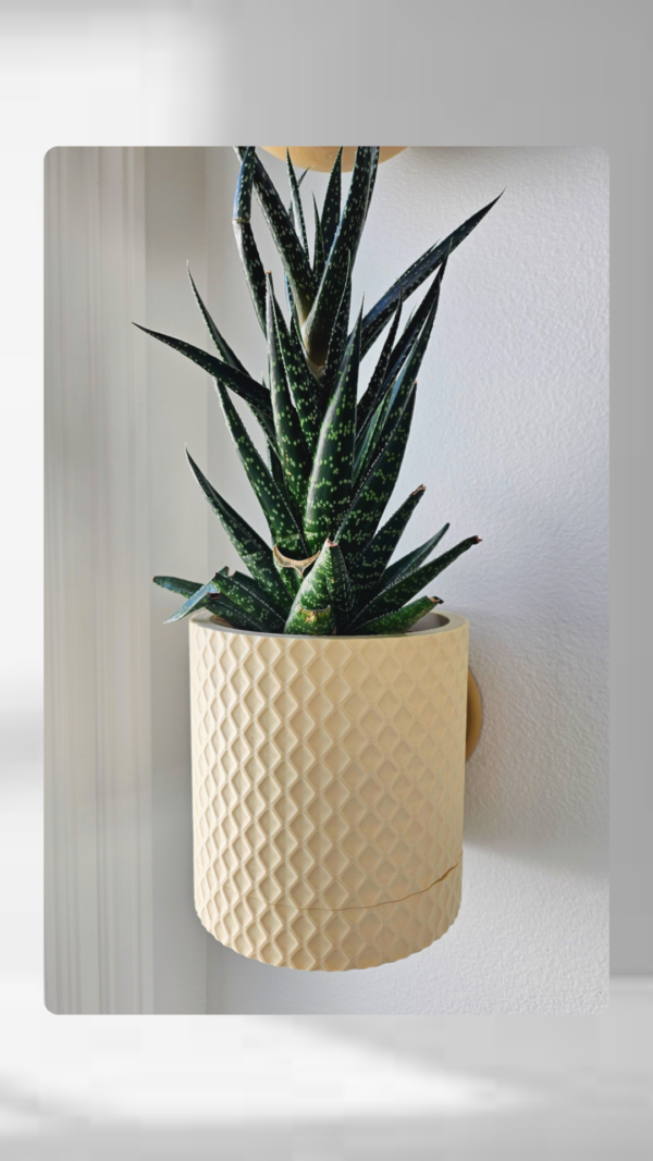 Vaso de parede Diamante